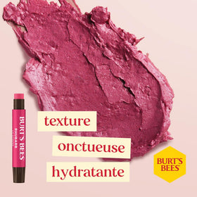 Burt's Bees Kissable Colour Gift Set displayed on a holiday-themed background