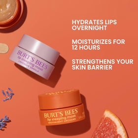 Burt's Bees Lavender Vanilla Lip Sleeping Mask with bamboo applicator