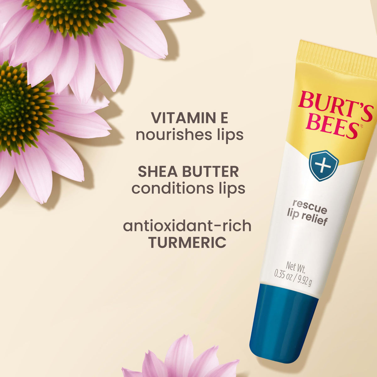 Burt's Bees lip balm on a wooden table