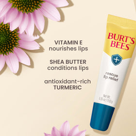 Burt's Bees lip balm on a wooden table