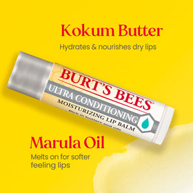 Burt's Bees Lip Balm Set packaging