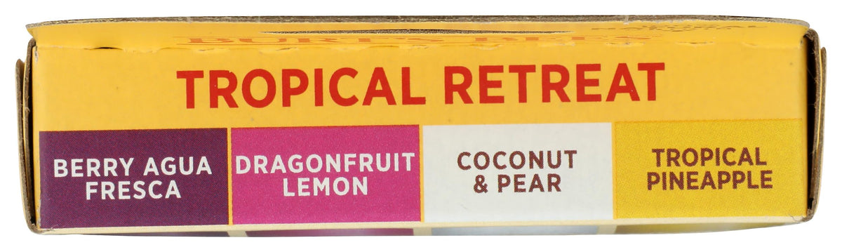 Burt's Bees Lip Balm Tropical Assortment close-up of a balm