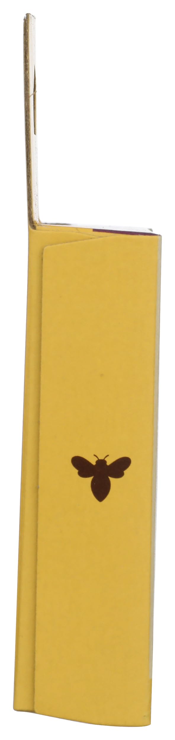Burt's Bees Lip Balm Tropical Assortment displayed on a wooden surface