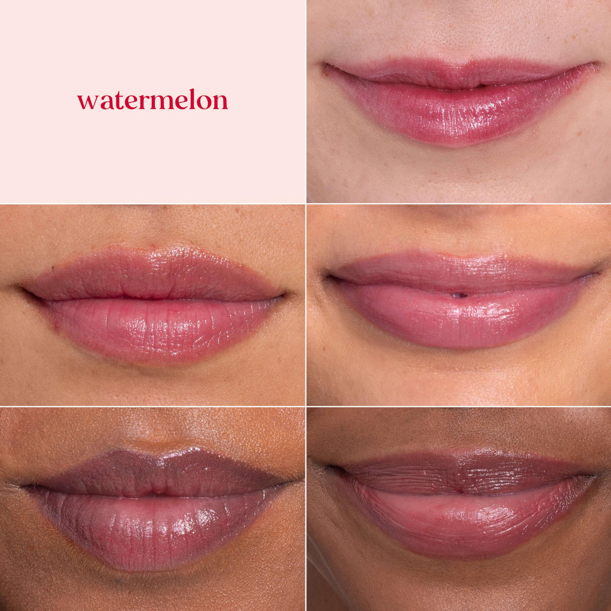 Burt's Bees Lip Shimmer Pink Collection with packaging