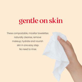 Burt's Bees Micellar Towelettes open pack showing wipes