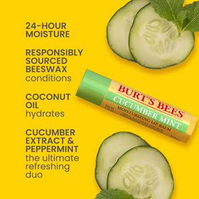 Burt's Bees Original Beeswax Lip Balm tube close-up