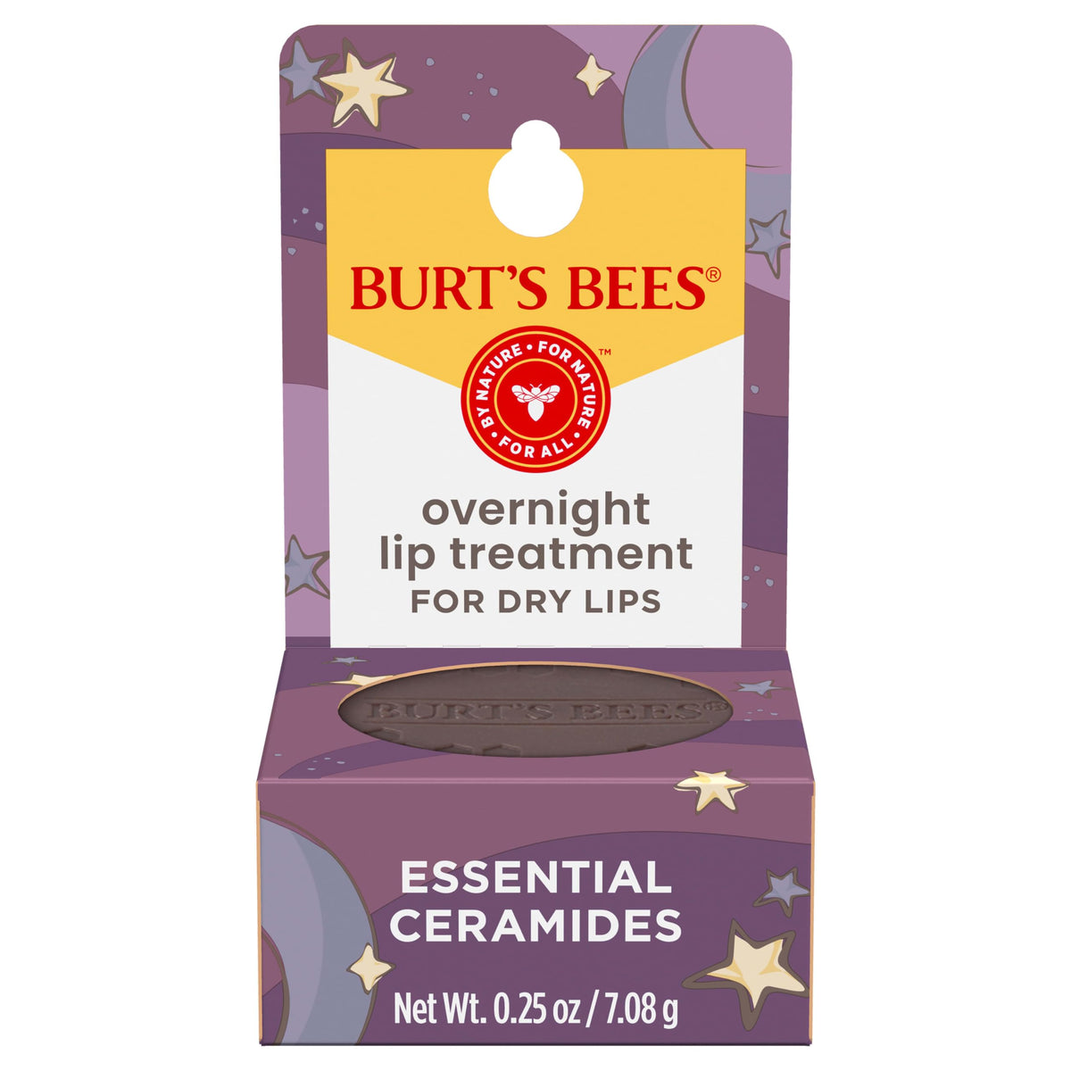 Burt's Bees Overnight Intensive Lip jar front view