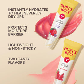 Burt's Bees Rescue Lip Relief Berry Medley flavour tube front view