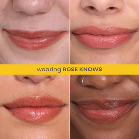 Burt's Bees Rose Knows Tinted support Lip Balm with natural ingredients