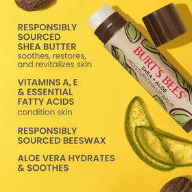 Burt's Bees Shea and Aloe Lip Balm displayed on a wooden surface