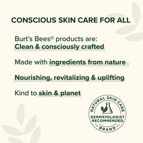Burt's Bees Shea and Aloe Lip Balm with a natural background