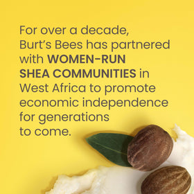 Burt's Bees Shea and Aloe Lip Balm with shea butter and aloe ingredients