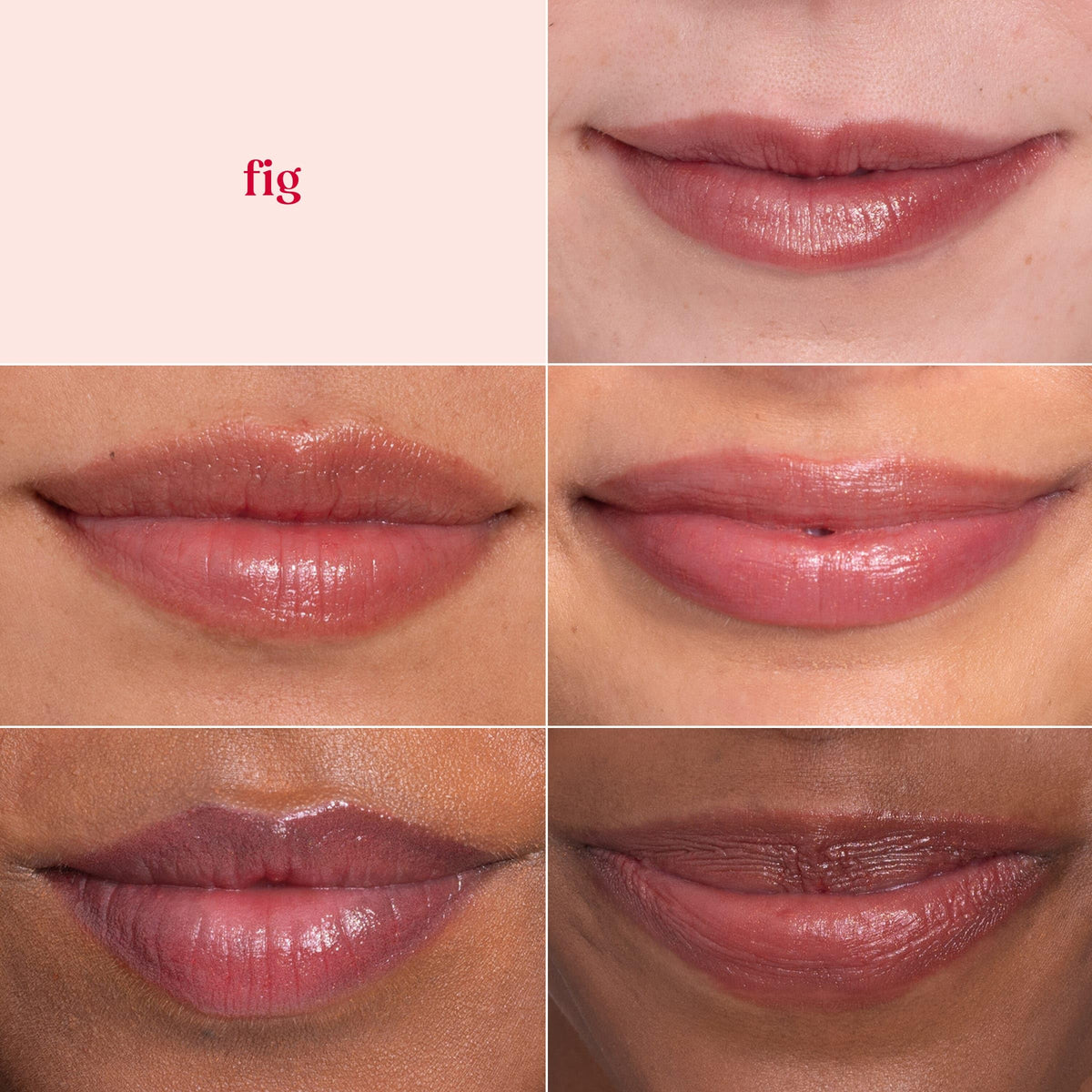 Burt's Bees Shimmer Lip Tint Fig displayed with flowers