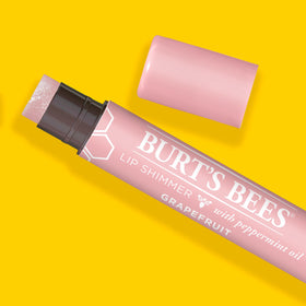 Burt's Bees Shimmer Lip Tint Set in a purse