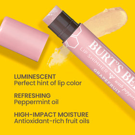 Burt's Bees Shimmer Lip Tint Set with four tubes displayed