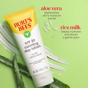 Burt's Bees SPF 30 Calming Day Lotion applied on skin