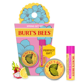Burt's Bees Spring Surprise Gift Set packaging front view