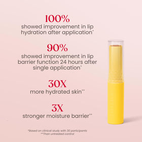 Burt's Bees support Lip Balm Sheer Plus with botanical waxes