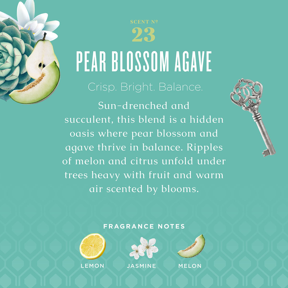 Caldrea Pear Blossom Agave Hand Soap side view showing label
