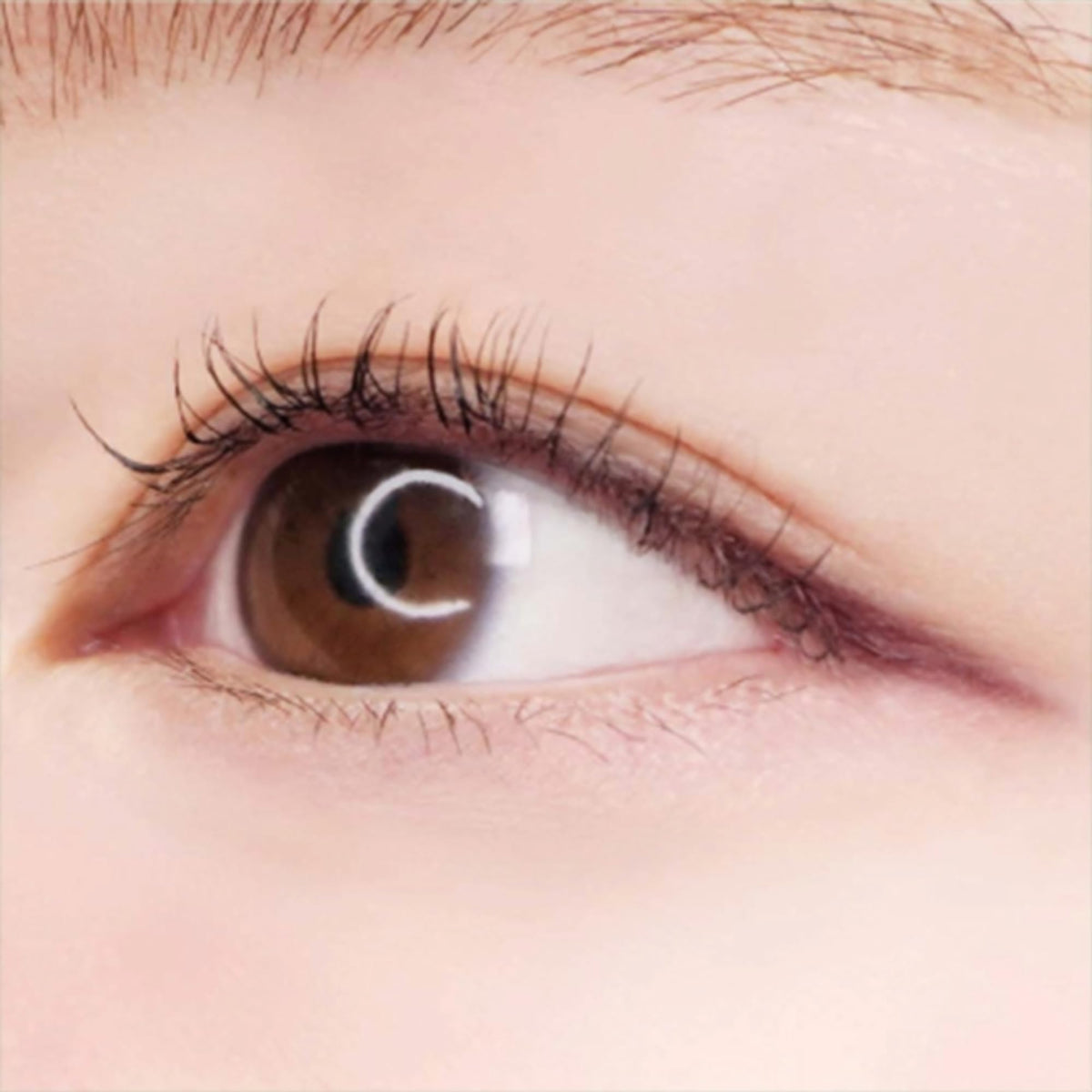 CANMAKE Creamy Touch Liner 1.5mm Slim Eyeliner Foggy Plum swatch