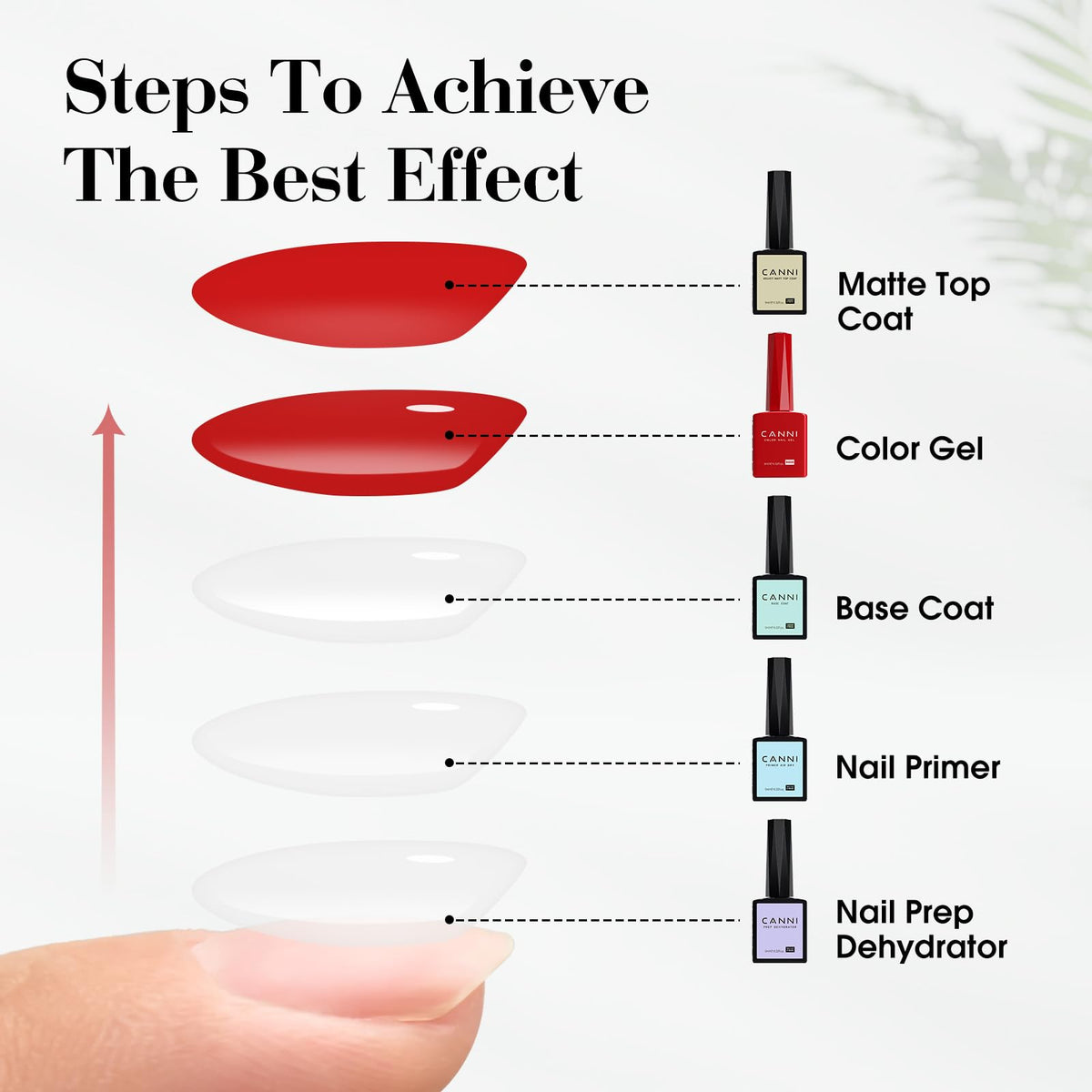 CANNI Base Coat brush close-up