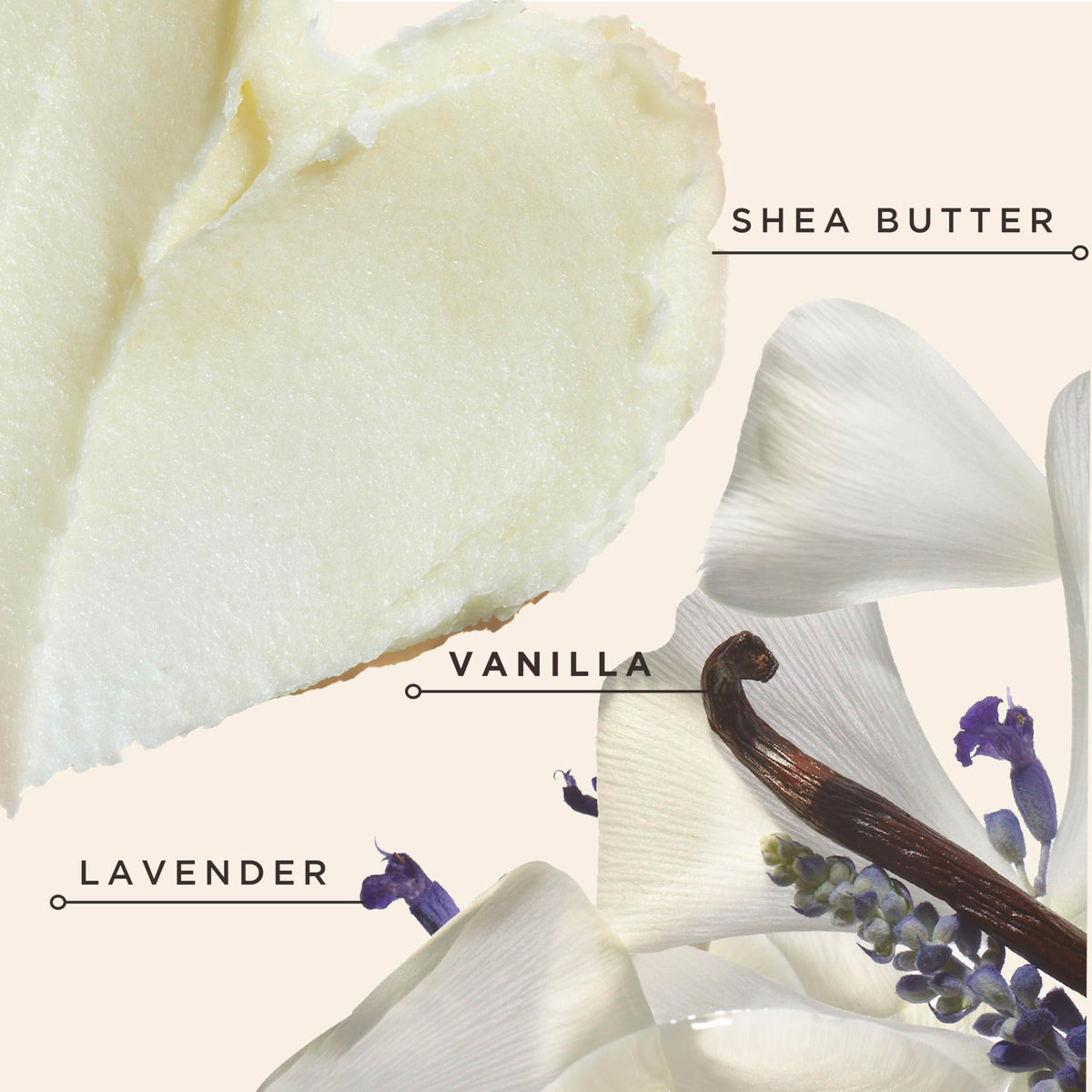 Carol's Daughter Black Vanilla Moisture Conditioner in a bathroom setting