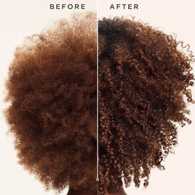 Carol's Daughter Goddess Strength Conditioner packaging