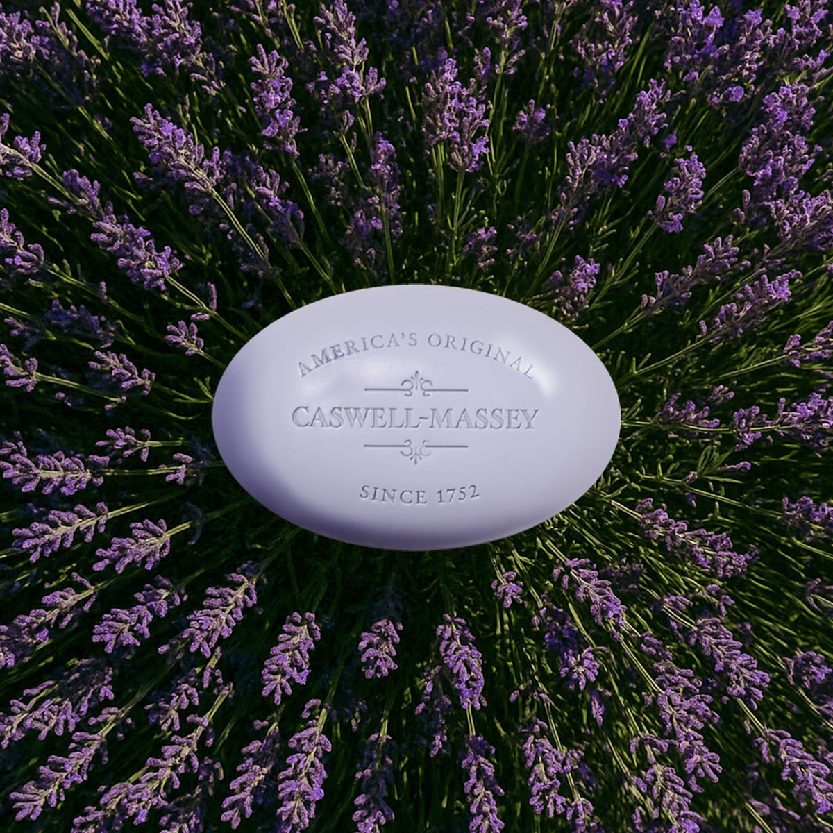 Caswell-Massey Lavender Bar Soap with lavender flowers
