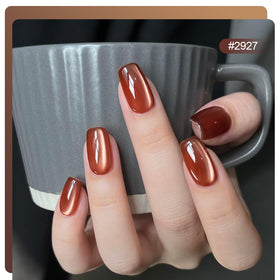 Cat eye magnet included with GAOY gel polish set