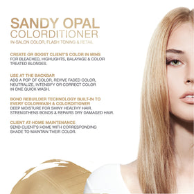 Celeb Luxury Gem Lites Sandy Opal Color Conditioner back view