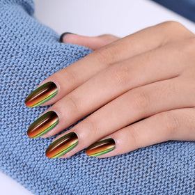 Chameleon powder in Artdone Nail Powder Set