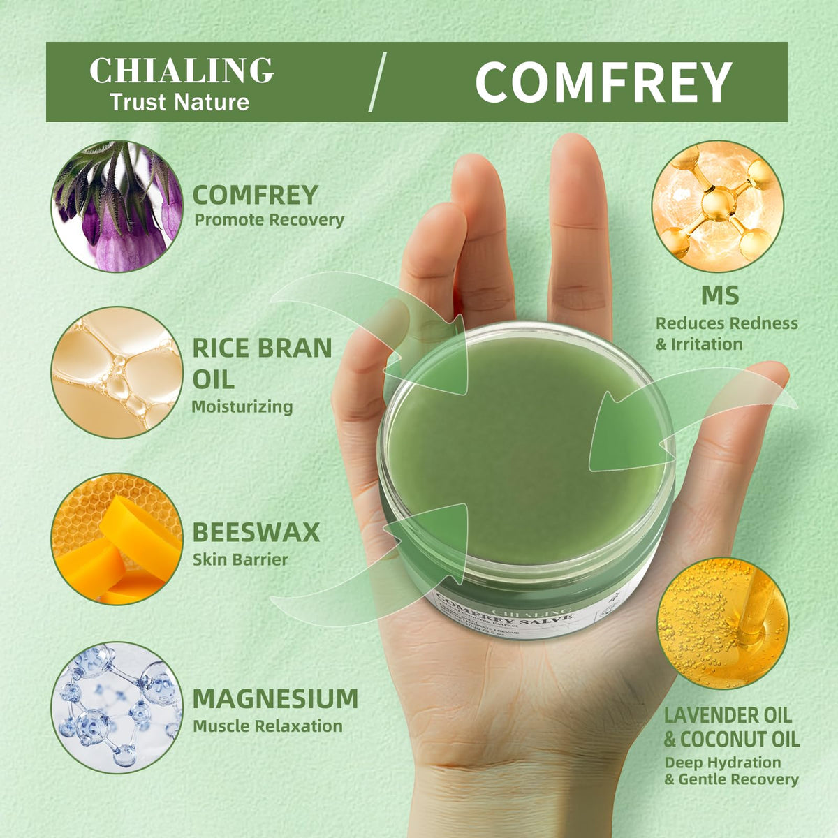 Chialing Comfrey Salve ingredients displayed on a wooden surface