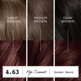Clairol ColorStrong 4.63 Sunset Mauve gloves included