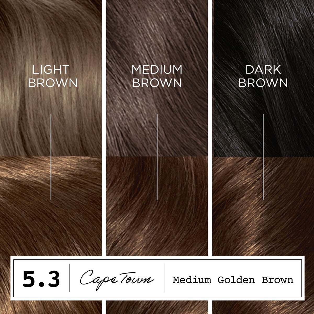Clairol ColorStrong 5.3 M Golden Brown packaging side view
