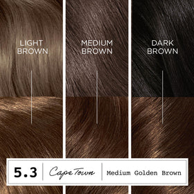 Clairol ColorStrong 5.3 M Golden Brown packaging side view