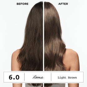 Clairol ColorStrong 6.1 Light Ash Brown Activator