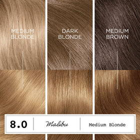 Clairol ColorStrong 8.0 Medium Blonde gloves included in kit