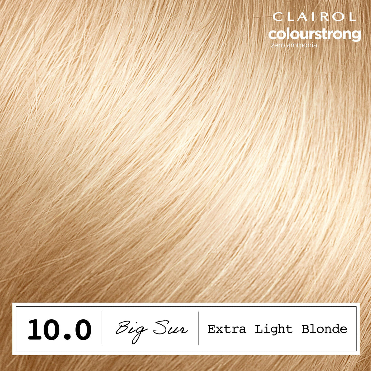 Clairol ColorStrong application kit contents including Bonding Primer and Colour Cream