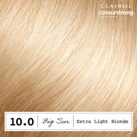 Clairol ColorStrong application kit contents including Bonding Primer and Colour Cream