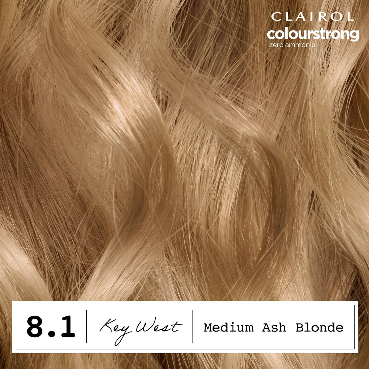 Clairol ColorStrong application kit contents including gloves and instructions