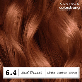 Clairol ColorStrong application kit contents including gloves and instructions