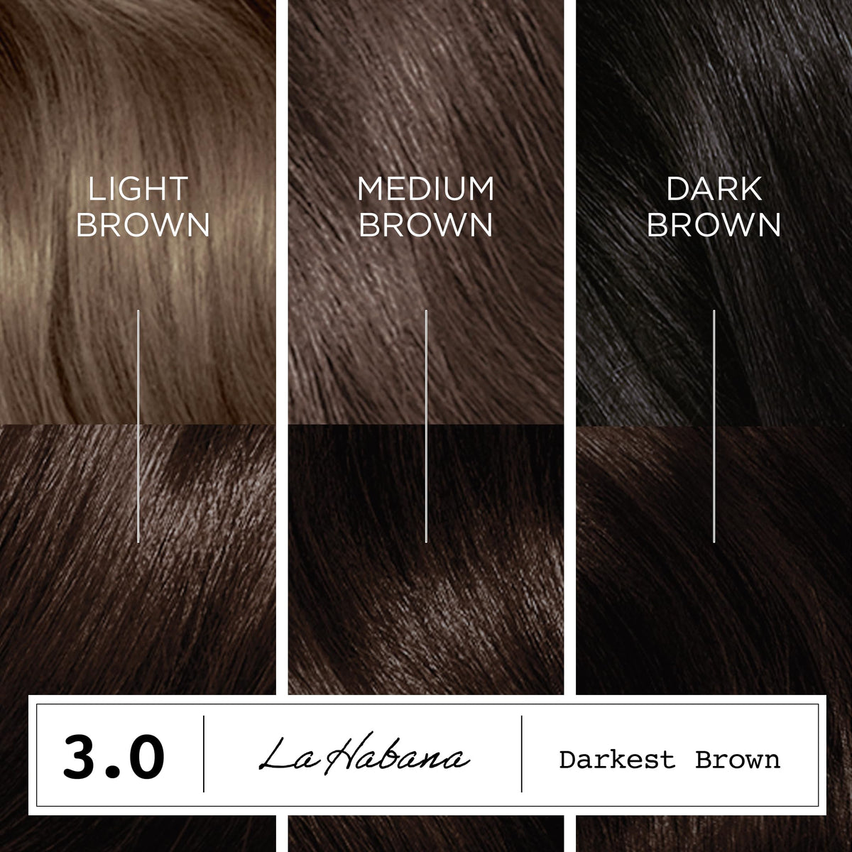 Clairol ColorStrong gloves included in the kit