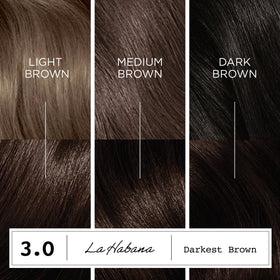 Clairol ColorStrong gloves included in the kit