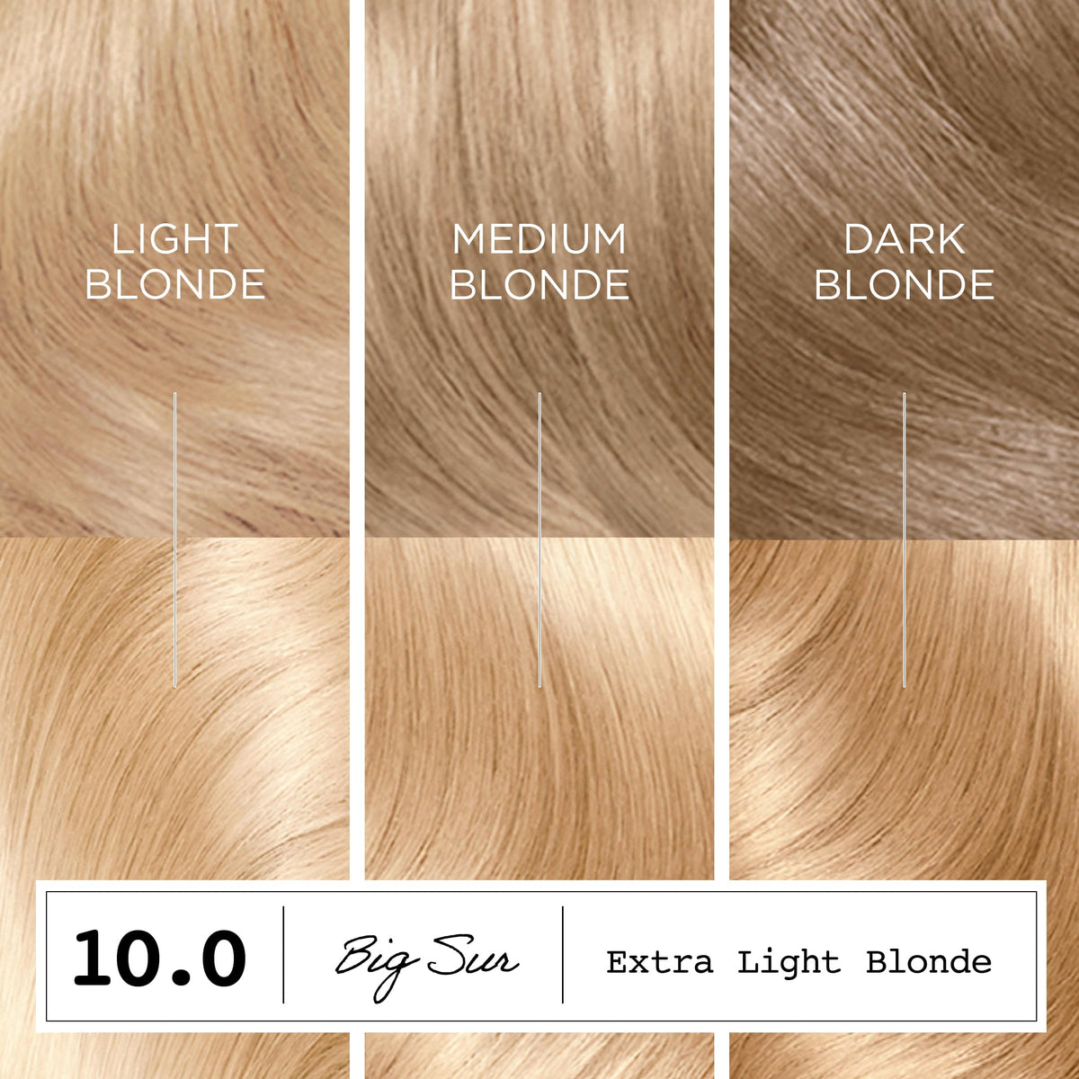 Clairol ColorStrong hair dye application process
