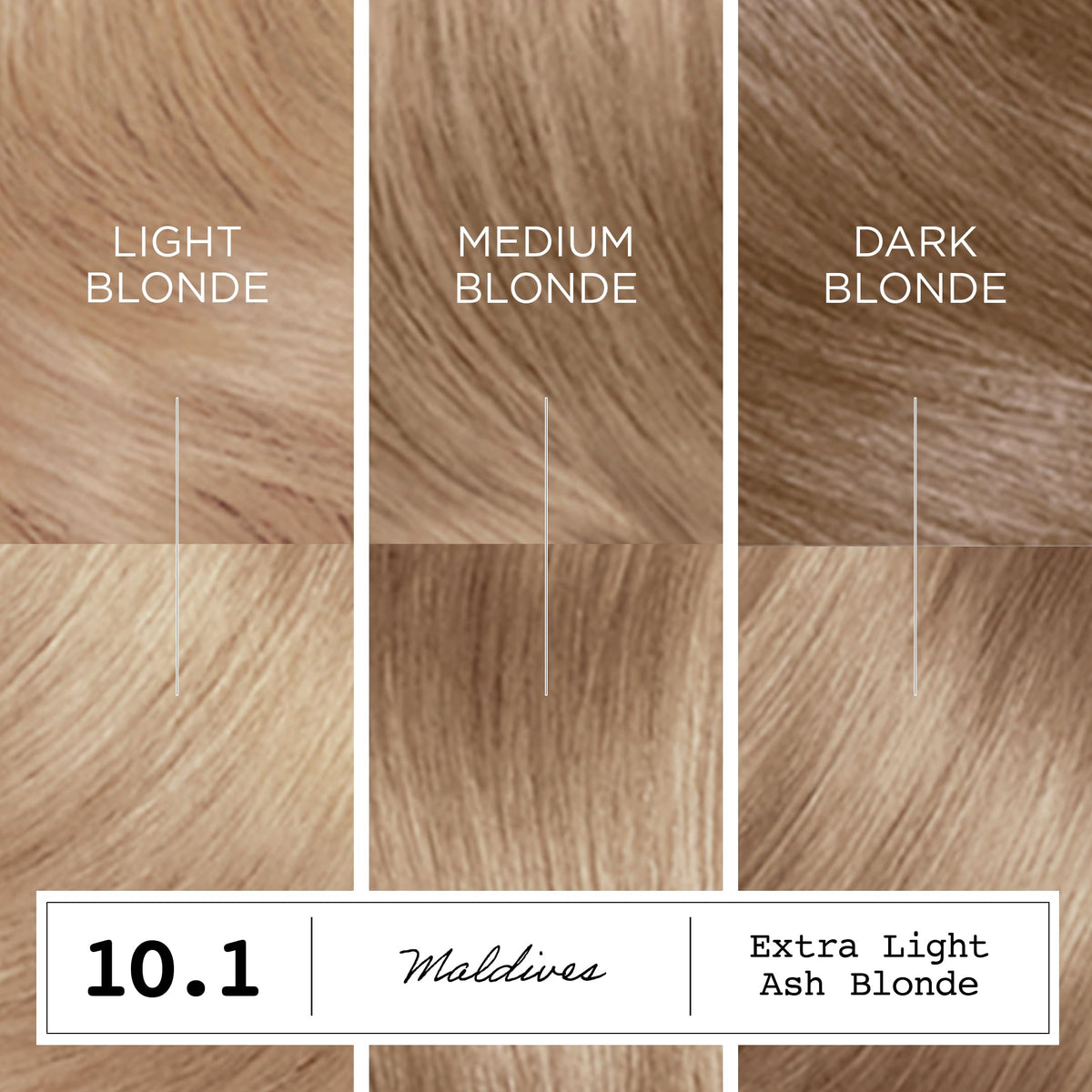 Clairol ColorStrong Permanent Hair Dye 10.1 Light Ash Blonde gloves included
