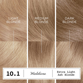Clairol ColorStrong Permanent Hair Dye 10.1 Light Ash Blonde gloves included