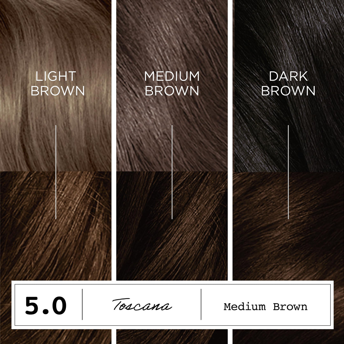 Clairol ColorStrong Permanent Hair Dye 5.0 Medium Brown gloves and instruction leaflet