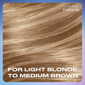 Clairol Frost & Tip highlighting powder and developing cream