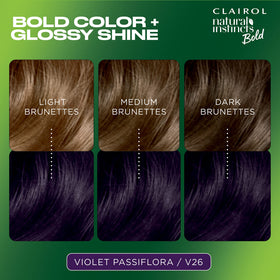 Clairol hair dye application kit contents including color cream and activator