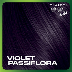 Clairol hair dye packaging with Violet Passiflora shade